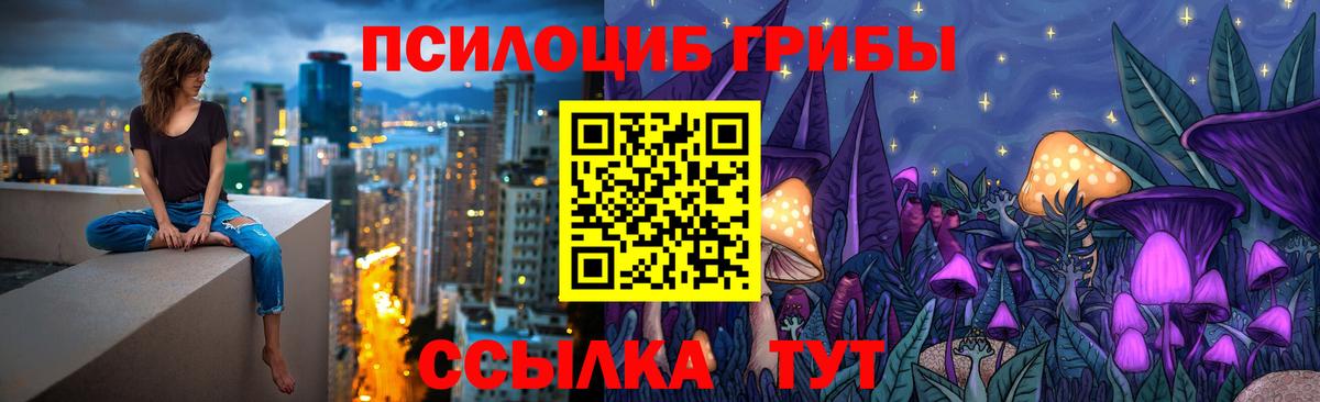 купить   Псилоцибиновые грибы Cubensis  Вход с VPN  Новозыбков 